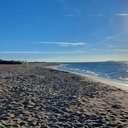 In Valras-plage Near Sandy