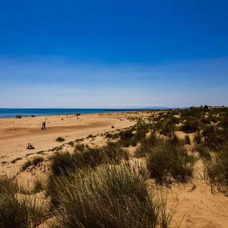 شقة In Valras-plage Near Sandy Sérignan